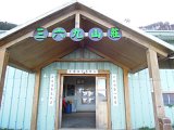 184.JPG